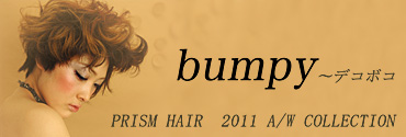 bumpy - PRISM 2011 A/W COLLECTION