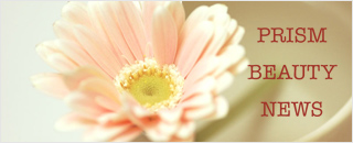 �v���Y�����e���