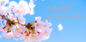 4月